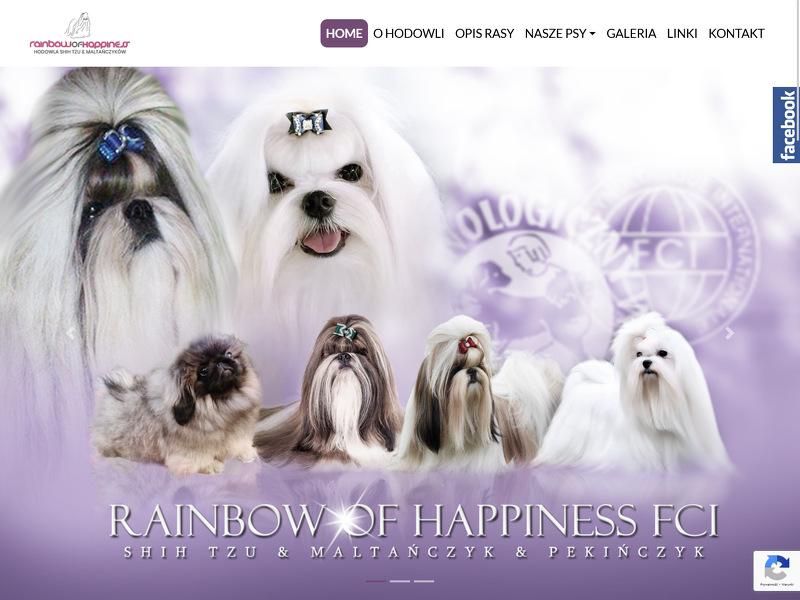 Strona www Rainbow Of Happiness