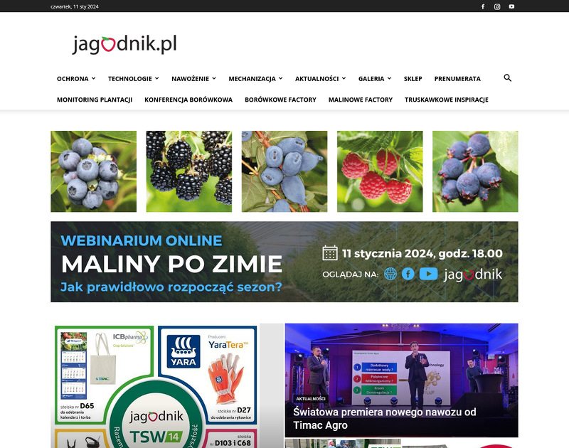 Strona www Jagodnik